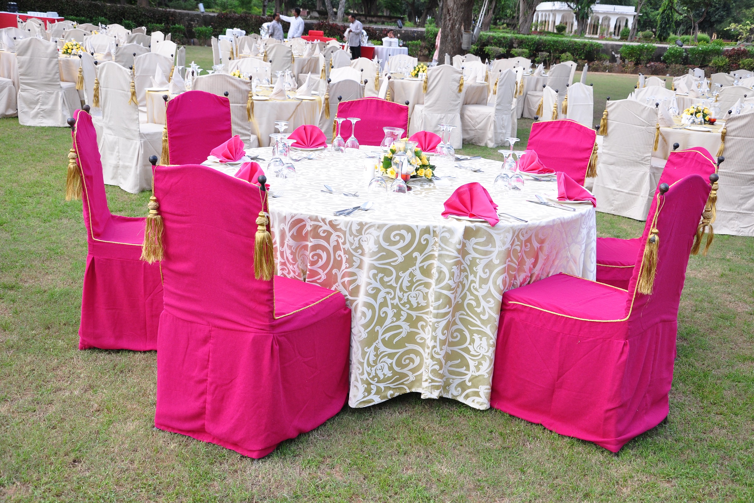 Image from Gala Dinner - Samode Bagh